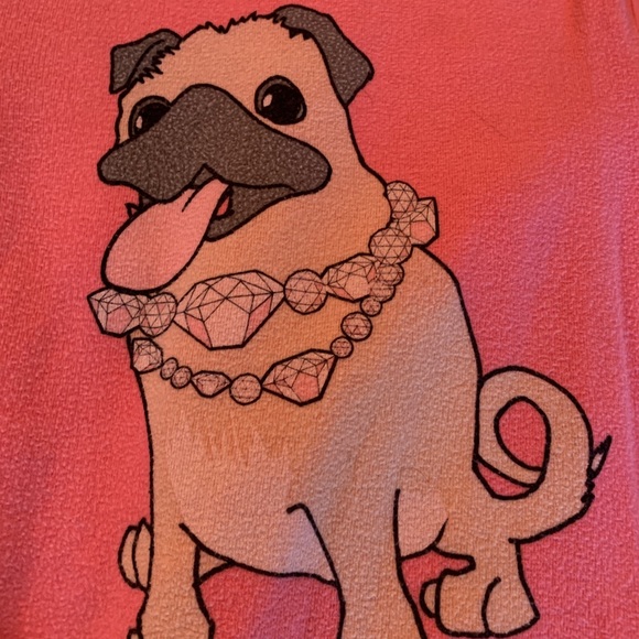 Wildfox BBJ Vintage Varsity Pullover in Petal - Picture 4 of 5